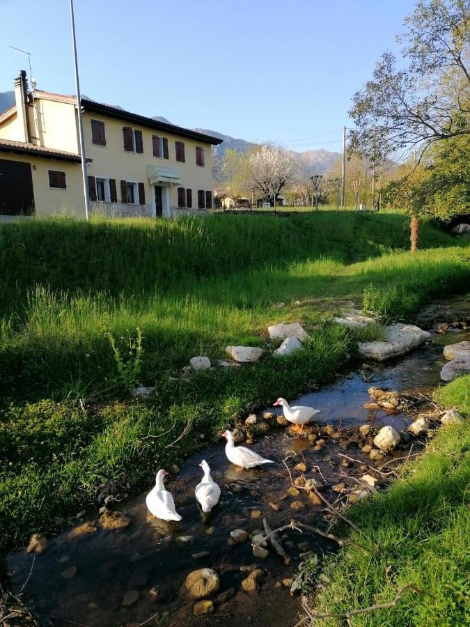 Agriturismo Da Andreina Борсо-дель-Граппа Экстерьер фото