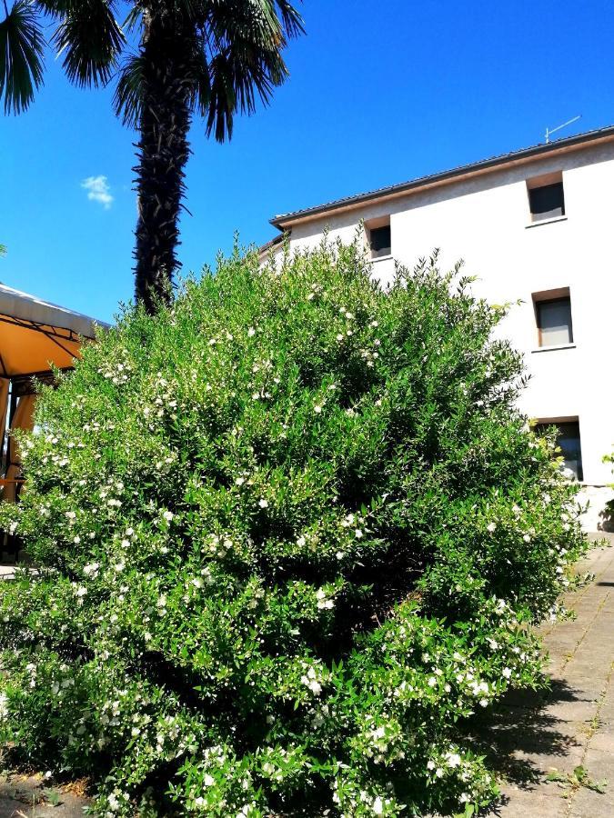 Agriturismo Da Andreina Борсо-дель-Граппа Экстерьер фото